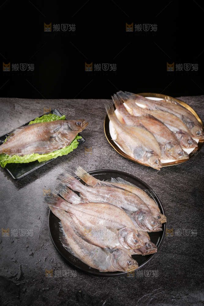 深底上的鲽鱼
