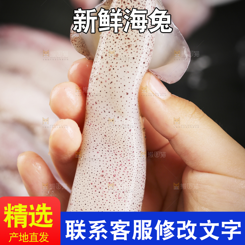 深底上的海兔
