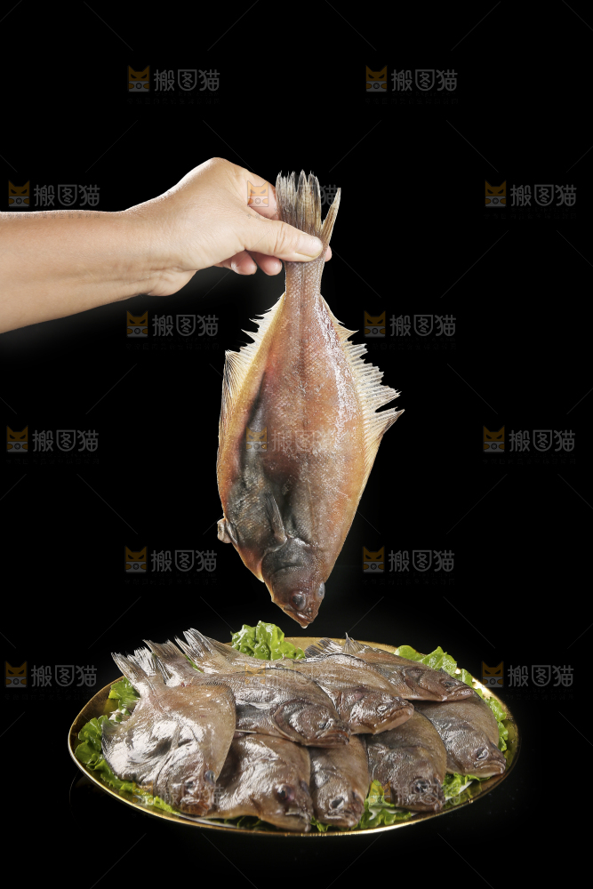 深底上的鲽鱼