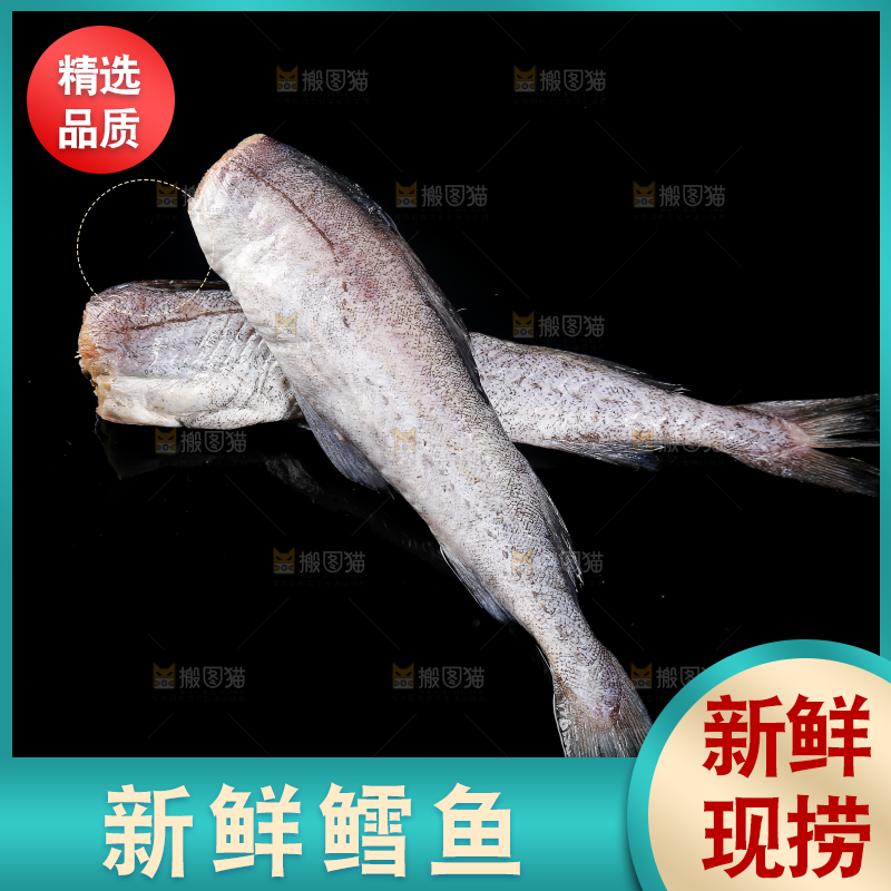 深底上的鳕鱼