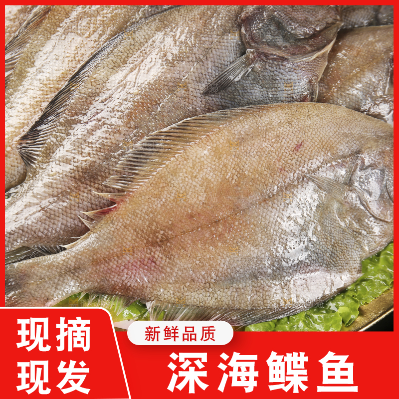 深底上的鲽鱼