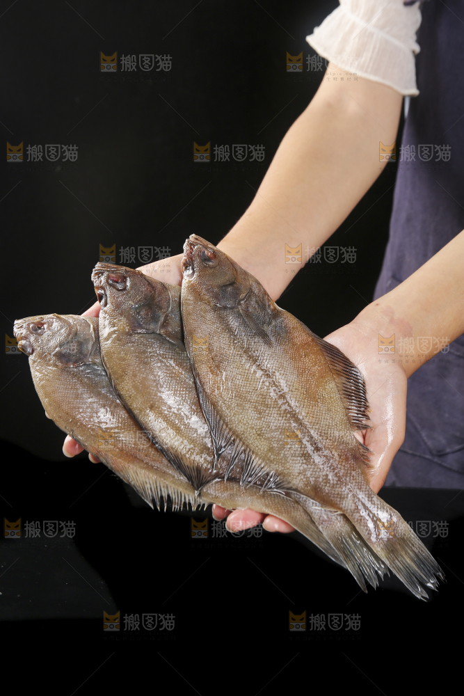 深底上的鲽鱼
