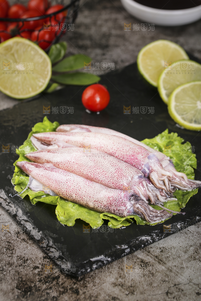 深底上的海兔