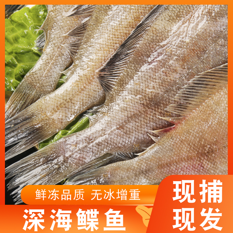 深底上的鲽鱼