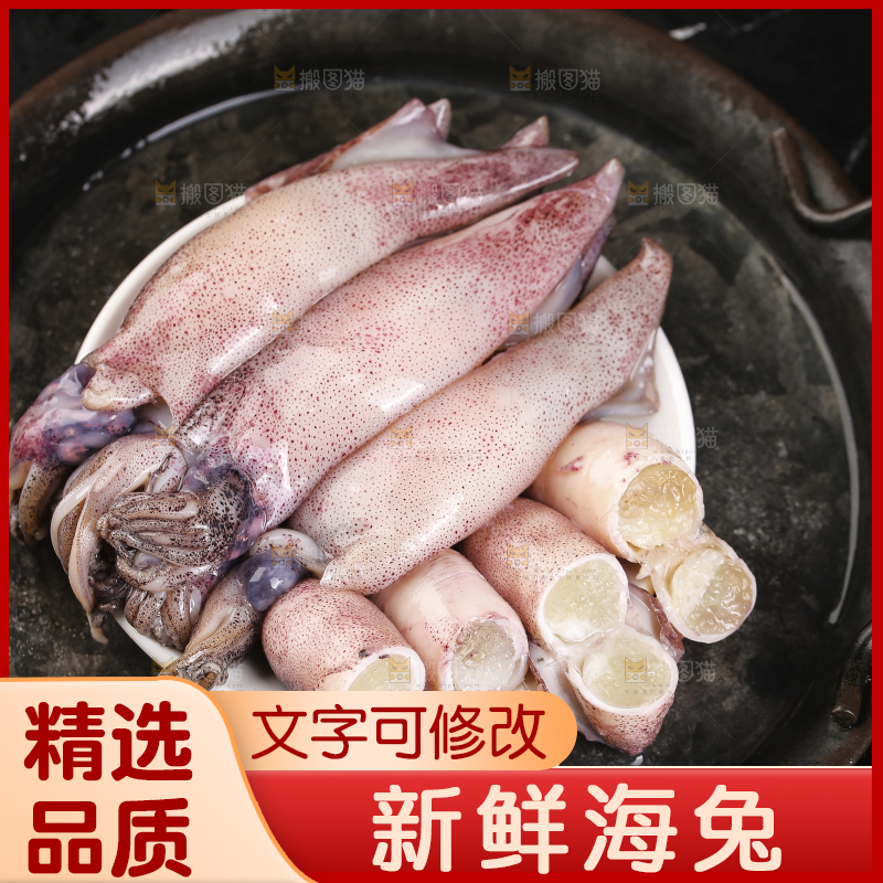 深底上的海兔