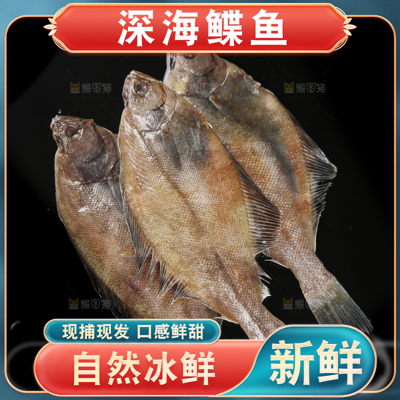 深底上的鲽鱼