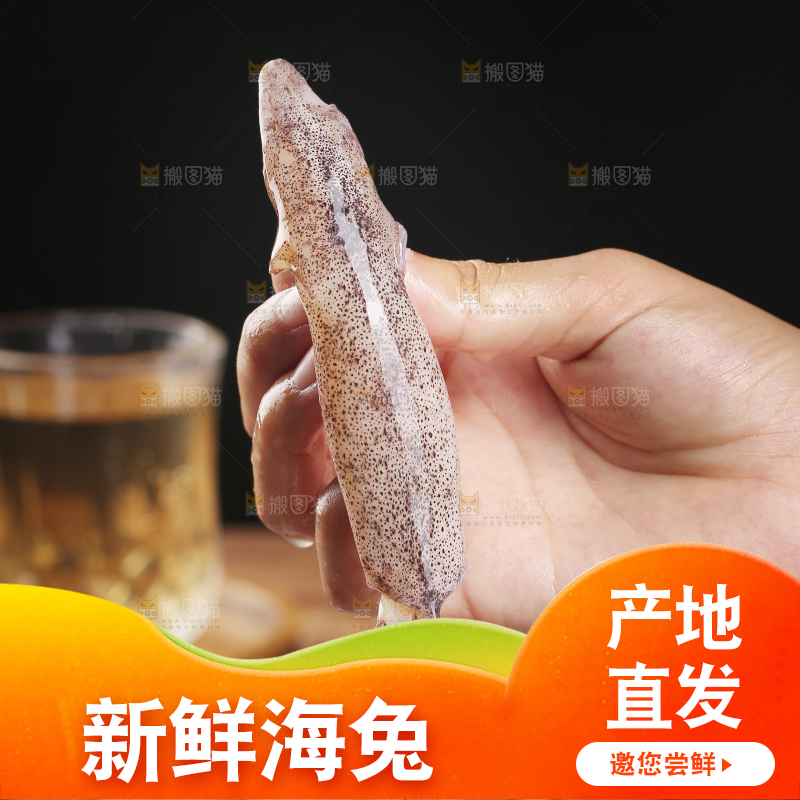 深底上的海兔