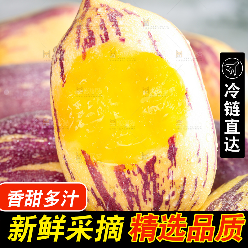 浅底上的民勤人参果