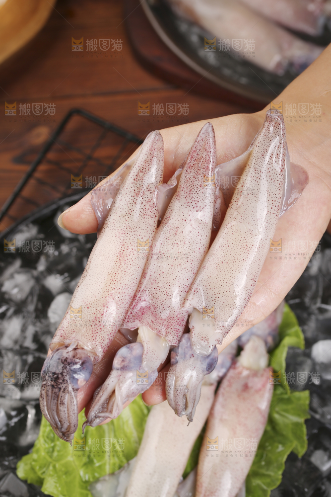 深底上的海兔