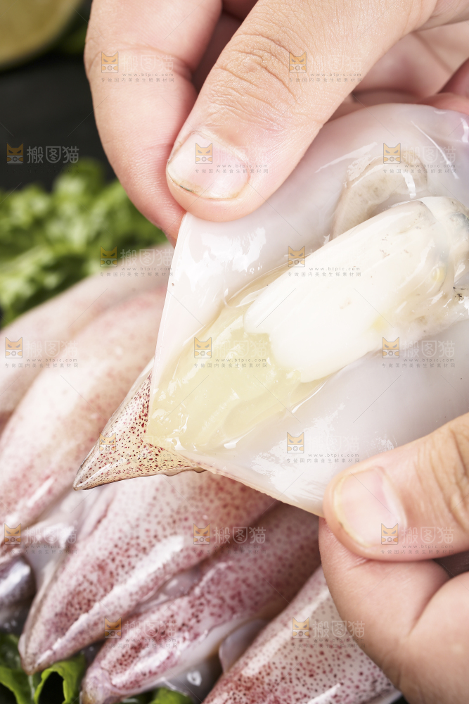深底上的海兔