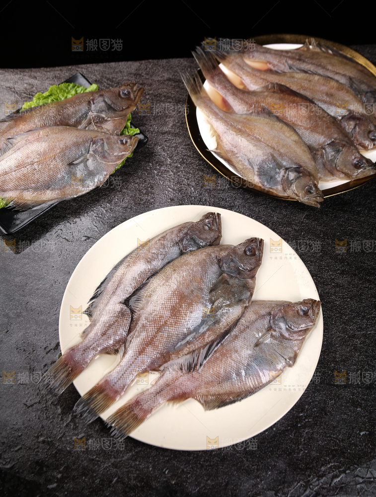 深底上的鲽鱼