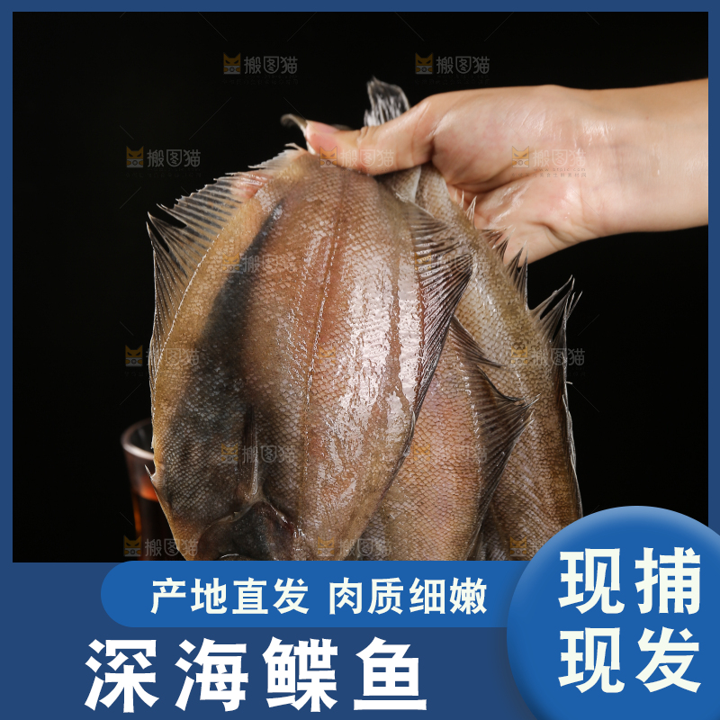 深底上的鲽鱼