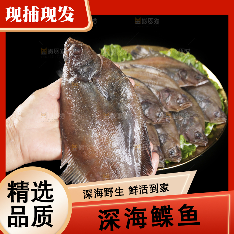 深底上的鲽鱼