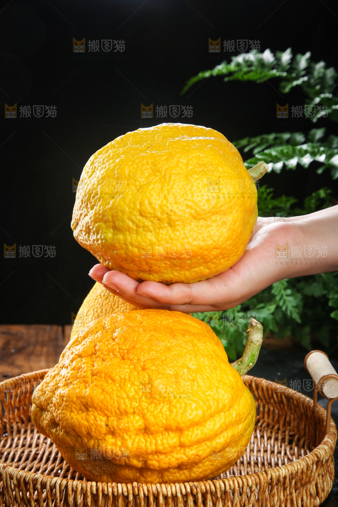 深底上的香橼果