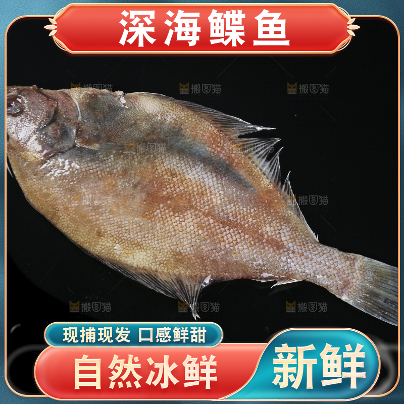 深底上的鲽鱼