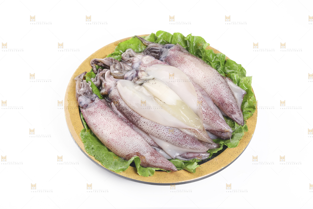 白底上的海兔