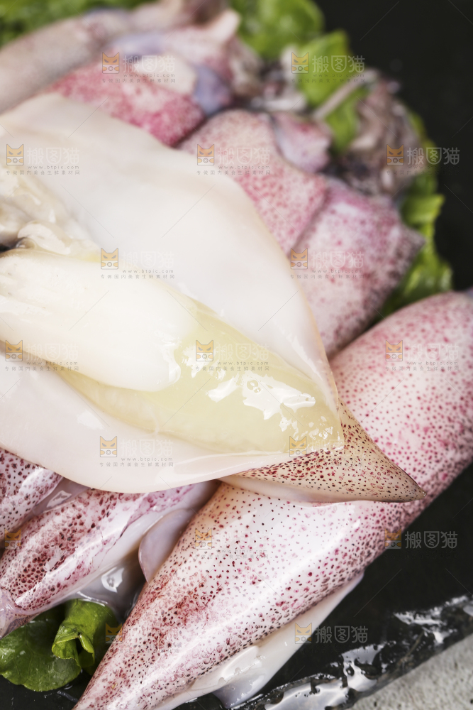 深底上的海兔