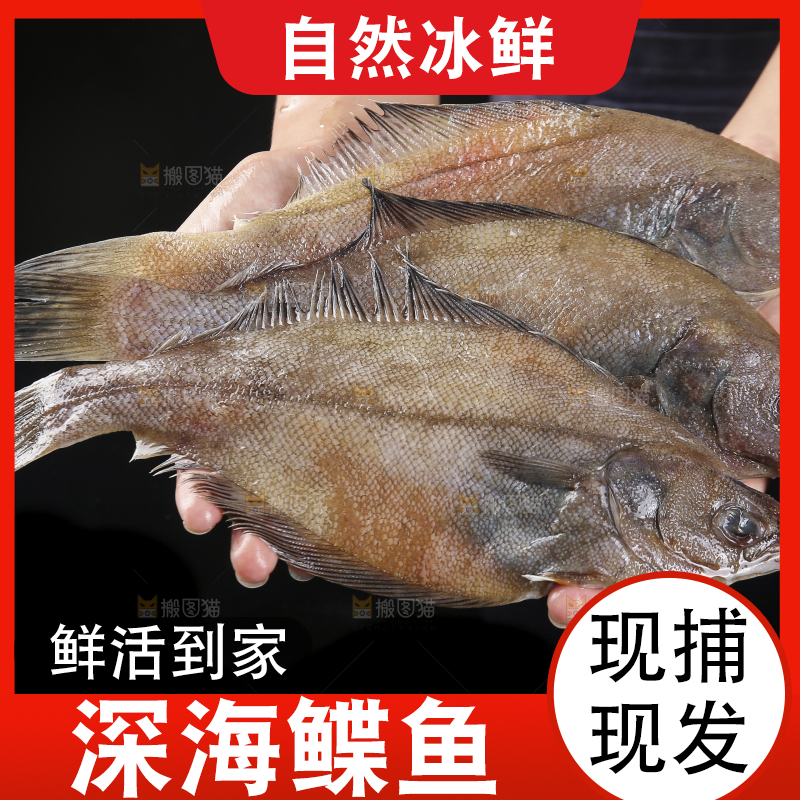 深底上的鲽鱼