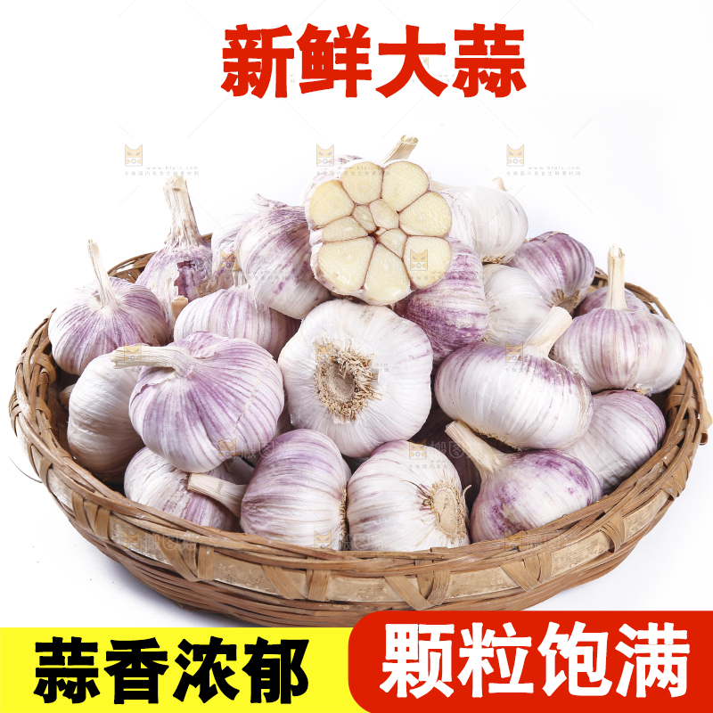 白底上的紫皮干大蒜