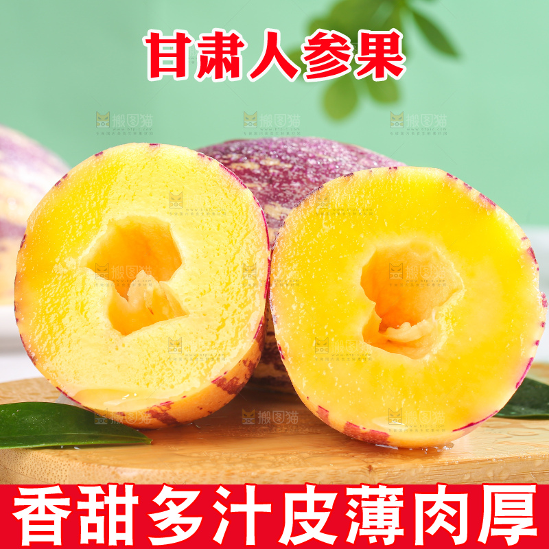 浅底上的民勤人参果