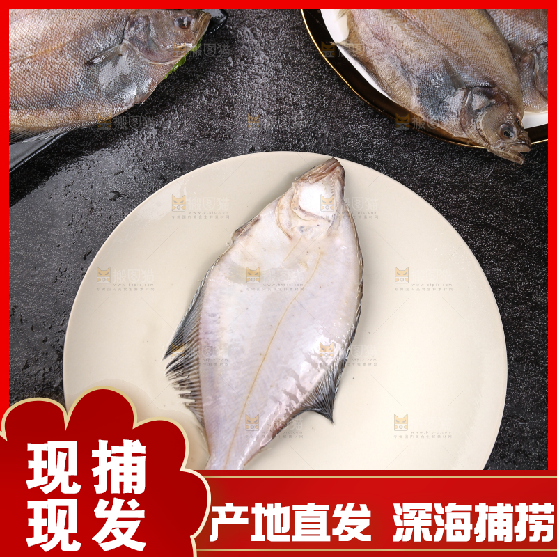 深底上的鲽鱼