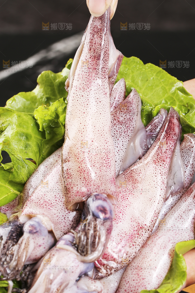 深底上的海兔
