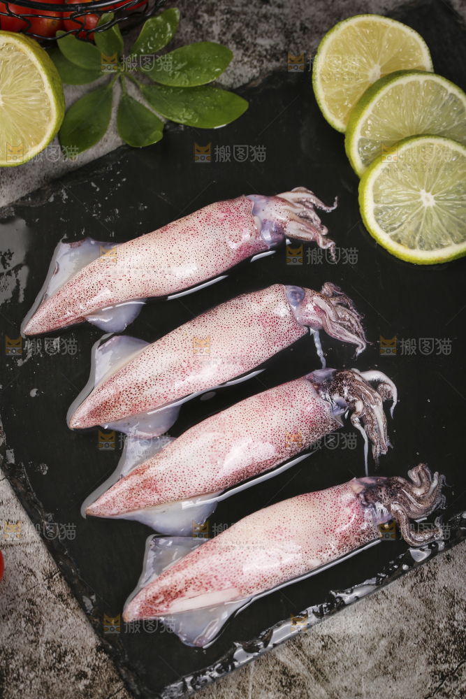 深底上的海兔