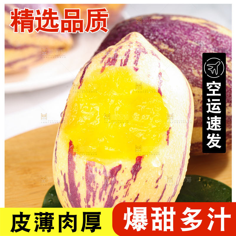浅底上的民勤人参果