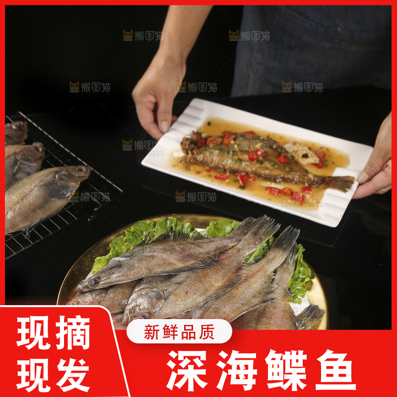 深底上的鲽鱼