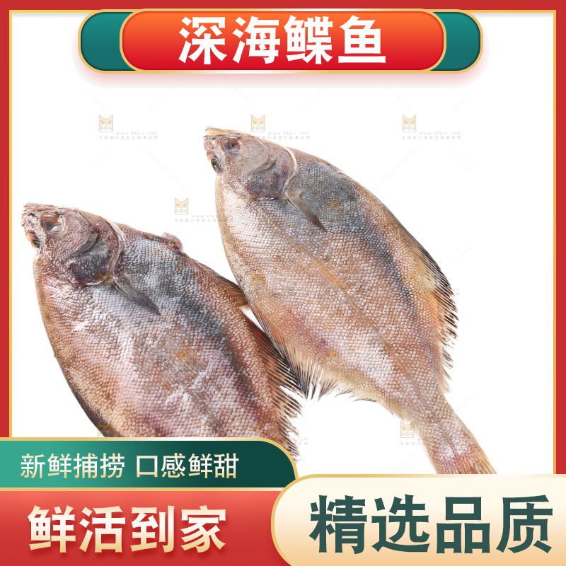 白底上的鲽鱼