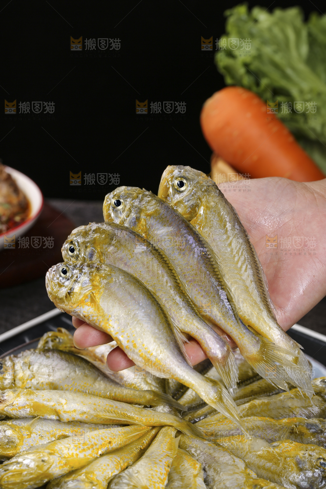 深底上的大头宝