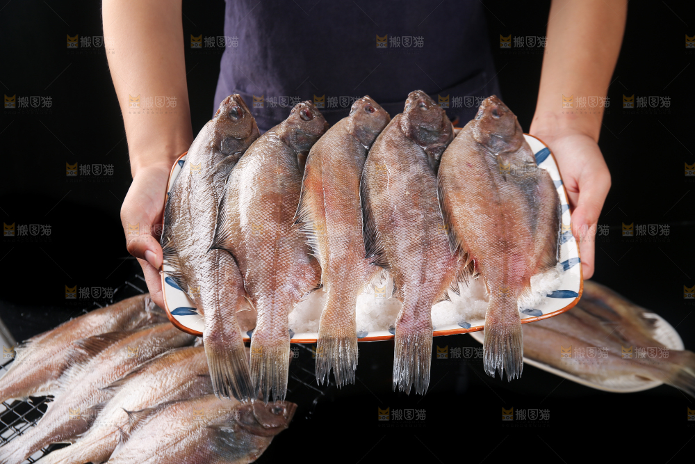 深底上的鲽鱼