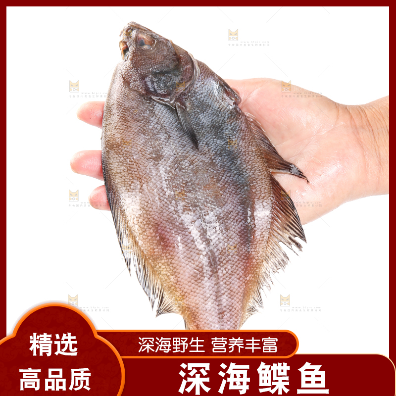 白底上的鲽鱼