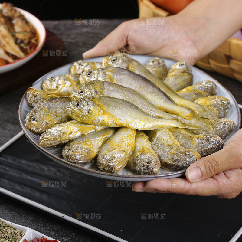 深底上的大头宝