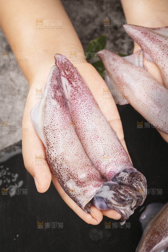 深底上的海兔