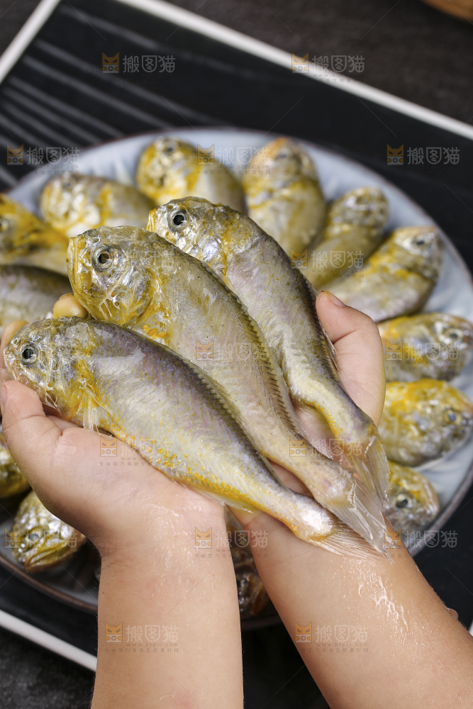 深底上的大头宝