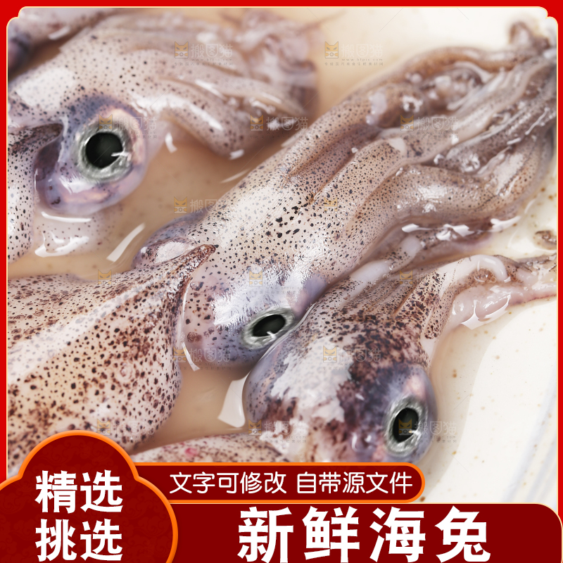 深底上的海兔