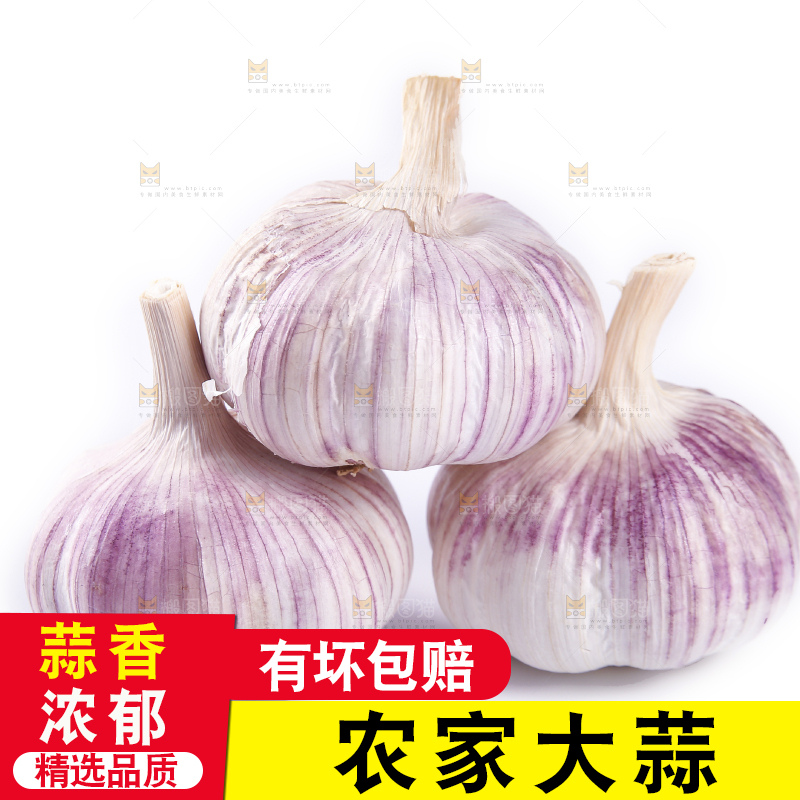 白底上的紫皮干大蒜