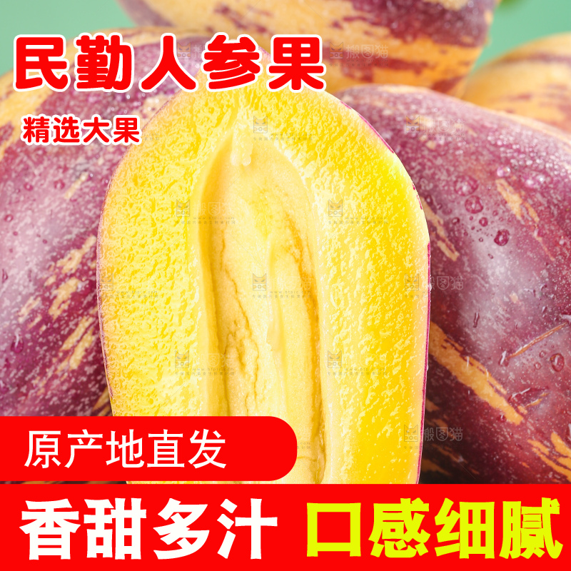 浅底上的民勤人参果