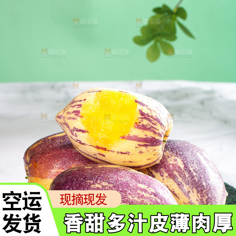 浅底上的民勤人参果