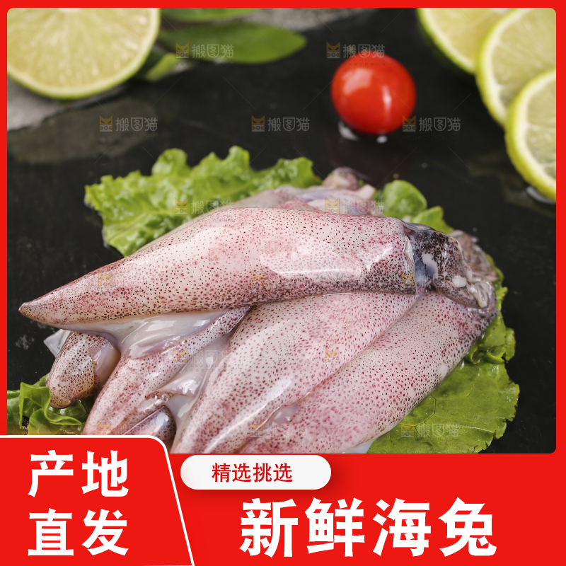 深底上的海兔