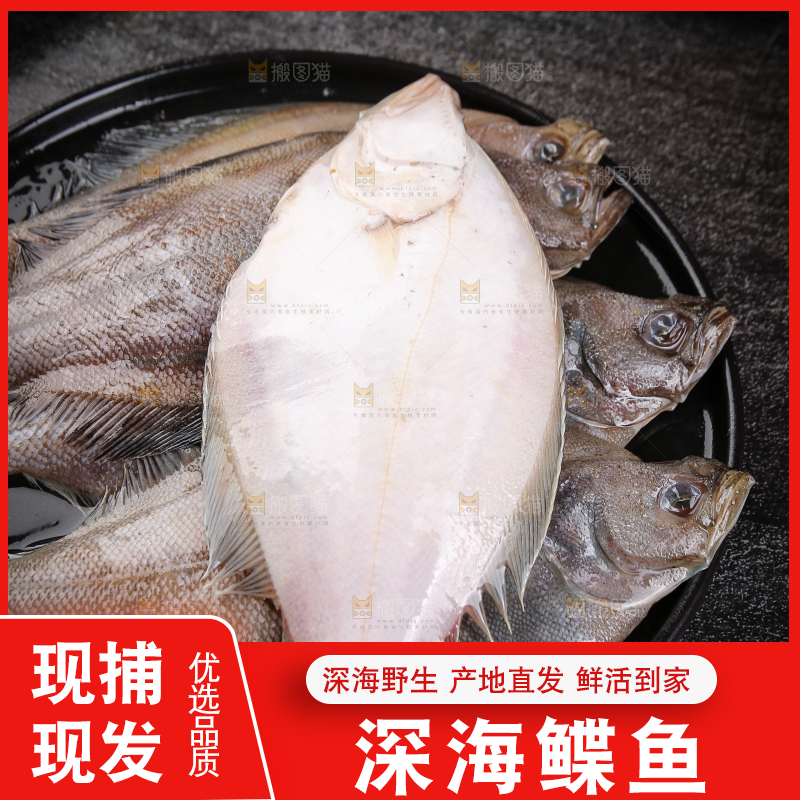 深底上的鲽鱼