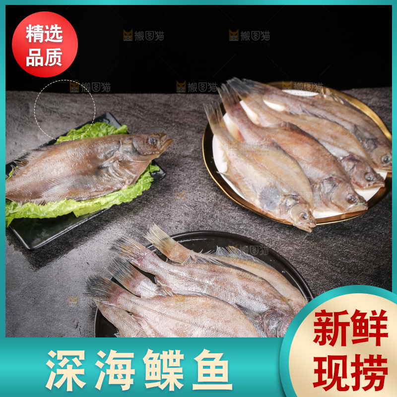 深底上的鲽鱼