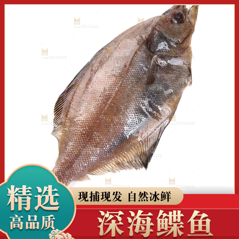 白底上的鲽鱼