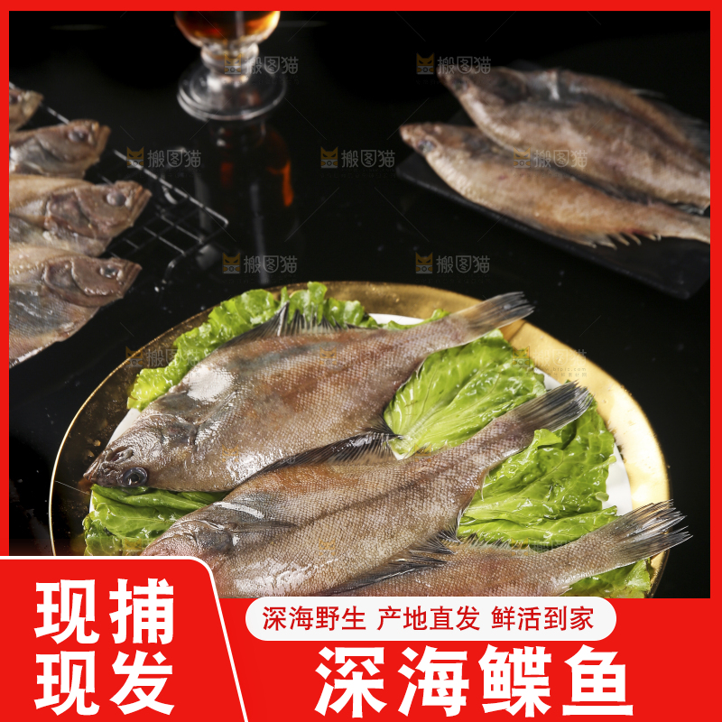 深底上的鲽鱼