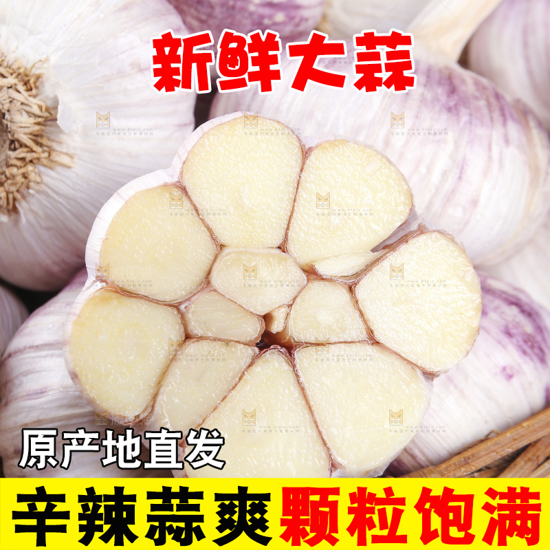 白底上的紫皮干大蒜