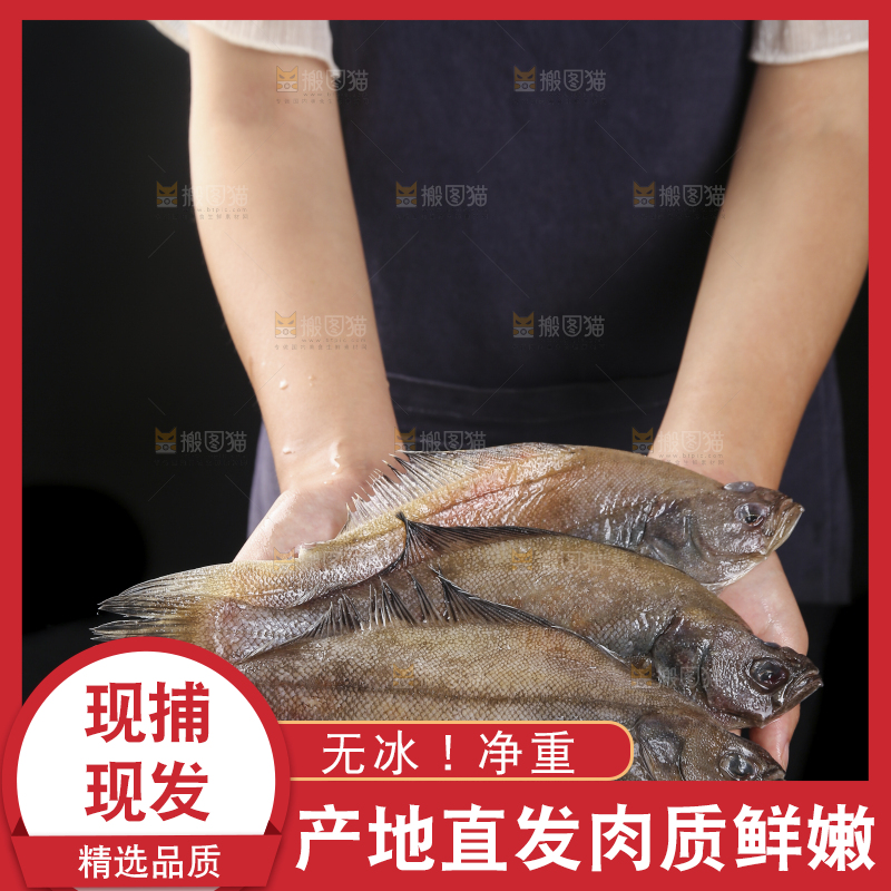 深底上的鲽鱼