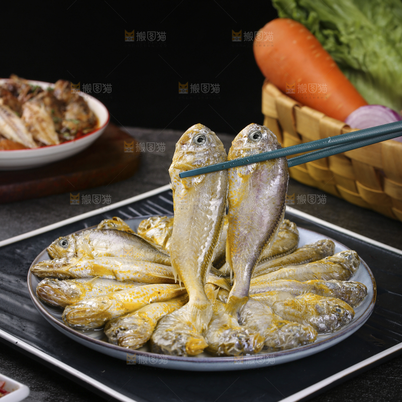 深底上的大头宝