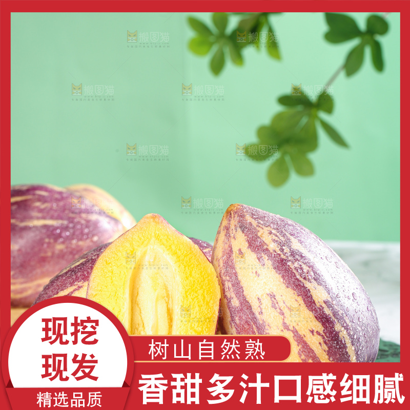 浅底上的民勤人参果
