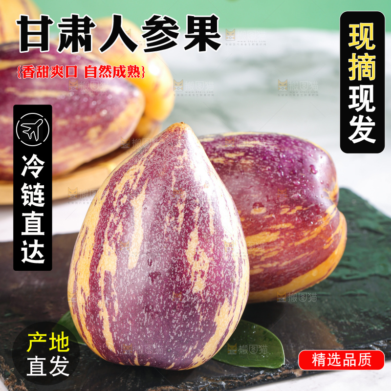 浅底上的民勤人参果